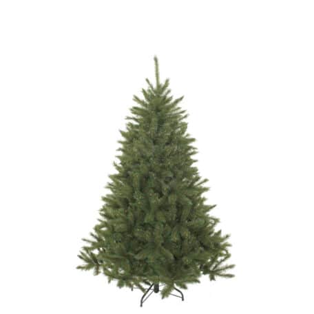 Weihnachtsbaum 'Bristlecone' Höhe 185cm - d119cm