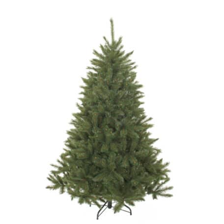 Weihnachtsbaum 'Bristlecone' Höhe 215cm - d127cm