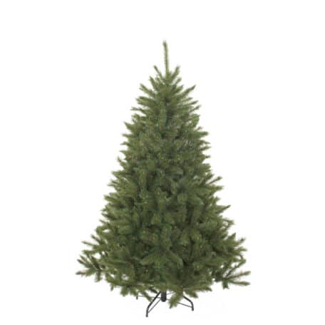 Weihnachtsbaum 'Bristlecone' Höhe 230cm - d152cm