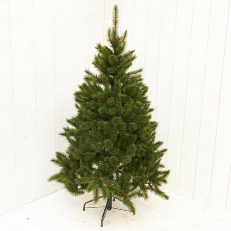 Weihnachtsbaum 'Bristlecone' Höhe 155cm - d99cm