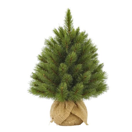 Weihnachtsbaum 'Forest frosted' Höhe 45cm