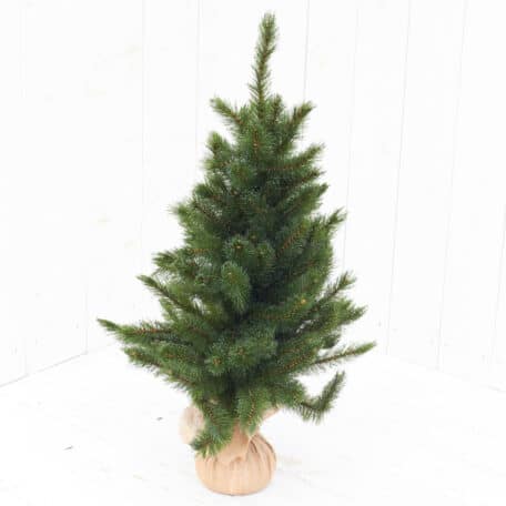 Weihnachtsbaum 'Forest frosted' Höhe 60cm