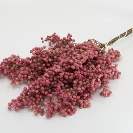 Schinus molle 'Natur' getrocknet Bund