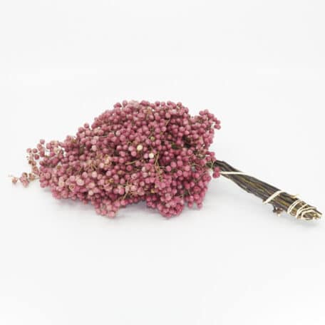 Schinus molle 'Natur' getrocknet Bund