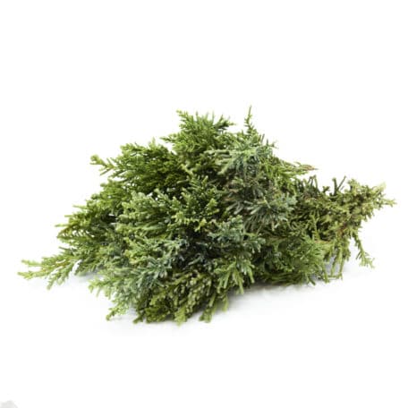 Wintergrün 'Chamaecyparis Drath' 250gr