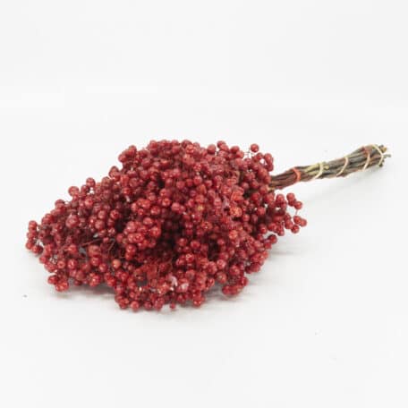 Schinus molle 'Rot' gefärbt getrocknet Bund