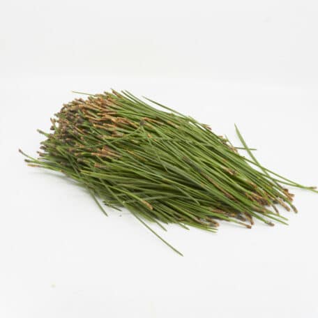 Wintergrün 'Pinus Nadeln' pro Sack