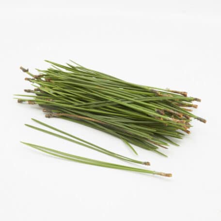 Wintergrün 'Pinus Nadeln' 50gr