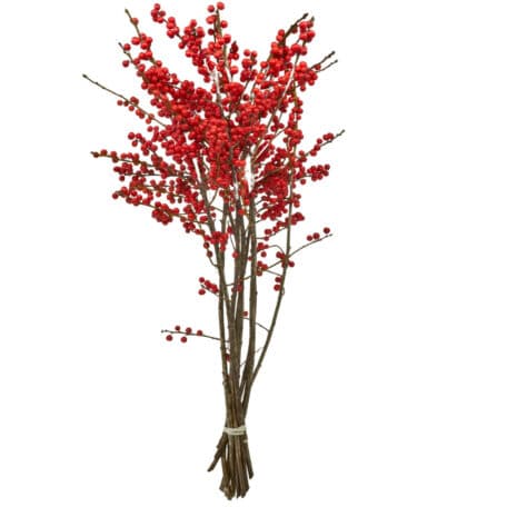 Wintergrün 'Ilex Verticillata' roten Beeren 60cm - 8 Stiele