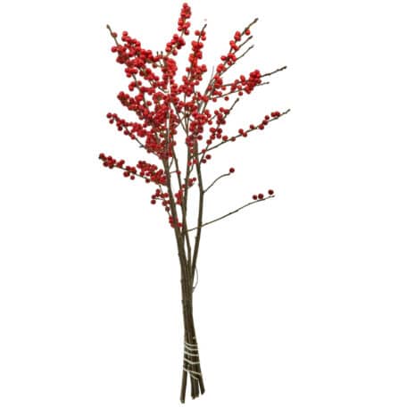 Wintergrün 'Ilex Verticillata' roten Beeren 60cm - 5 Stiele