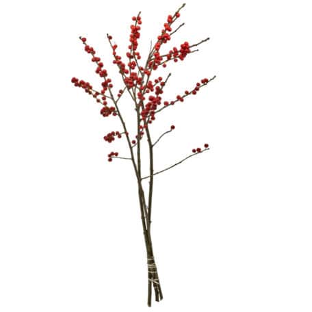 Wintergrün 'Ilex Verticillata' roten Beeren 60cm - 3 Stiele