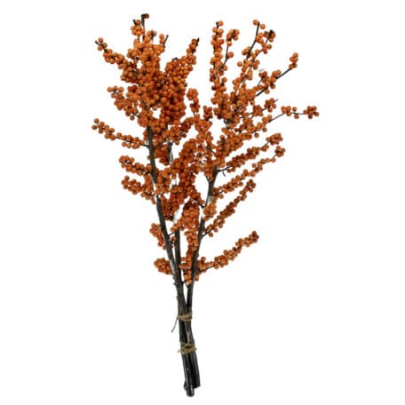 Wintergrün 'Ilex Verticillata' orange Beeren 60cm - 3 Stiele