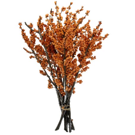 Wintergrün 'Ilex Verticillata' orange Beeren 60cm - 8 Stiele