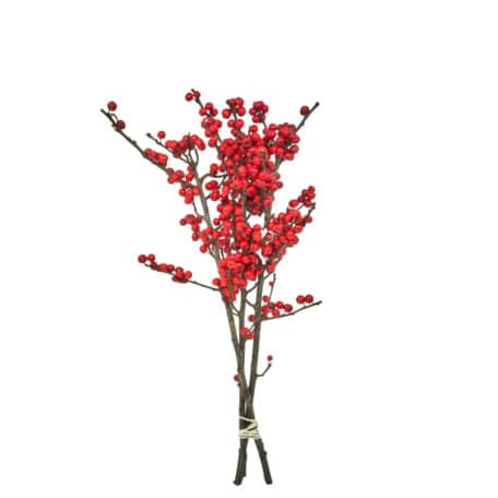 Wintergrün 'Ilex Verticillata' rote Beeren 40cm - 3 Stiele