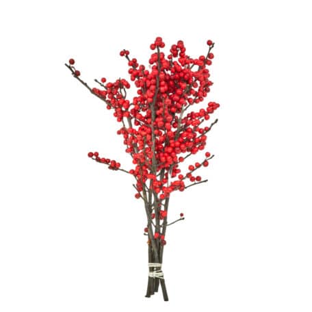 Wintergrün 'Ilex Verticillata' rote Beeren 40cm - 5 Stiele