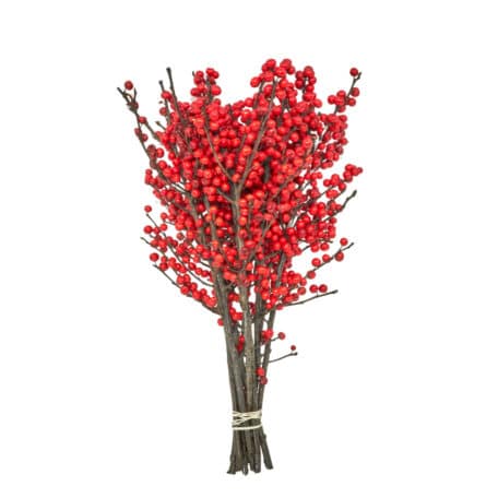 Wintergrün 'Ilex Verticillata' rote Beeren 40cm - 8 Stiele