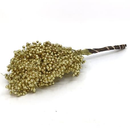 Schinus molle 'Gold' coloré séché Bund