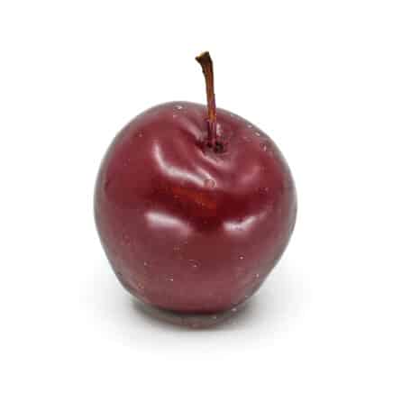 Wachsapfel glatt 'bordeaux' Ø4-6cm 1 Stück