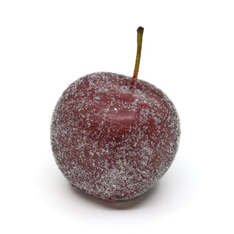 Wachsapfel gezuckert 'bordeaux' Ø4-6cm 1 Stück