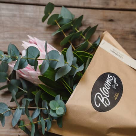 Blooms for you «Leticia»