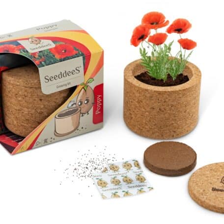 Korkschale - Mohn