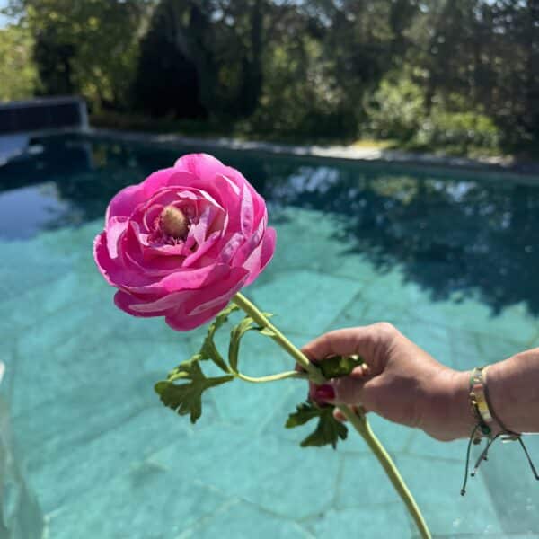 Künstlicher Hahnenfuss Zweig Rosa - Bild 2