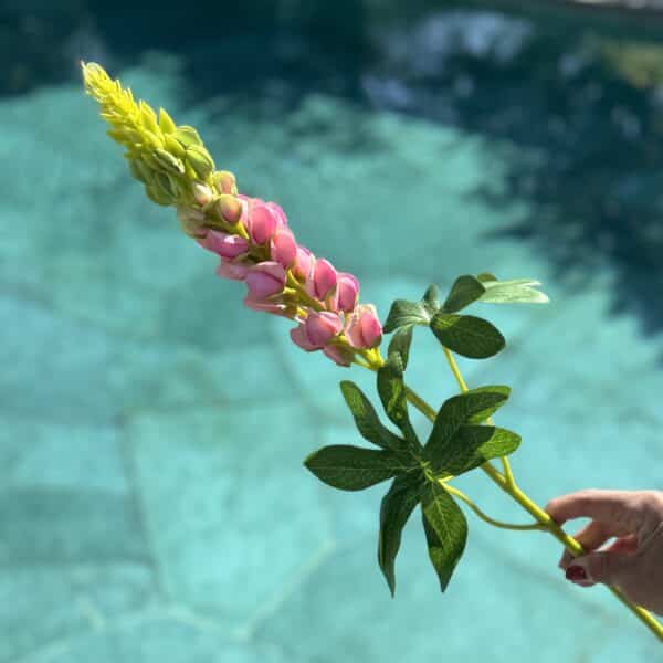 Lupins artificiels roses