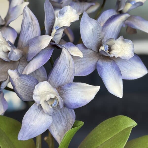 Künstliche Orchideen in Topf eingepflanzt blau – Image 3