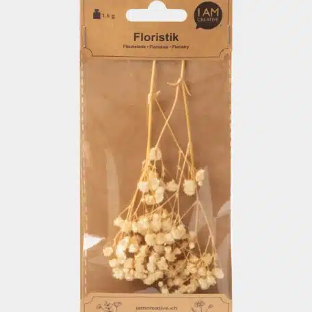 Gypsophila getrocknet