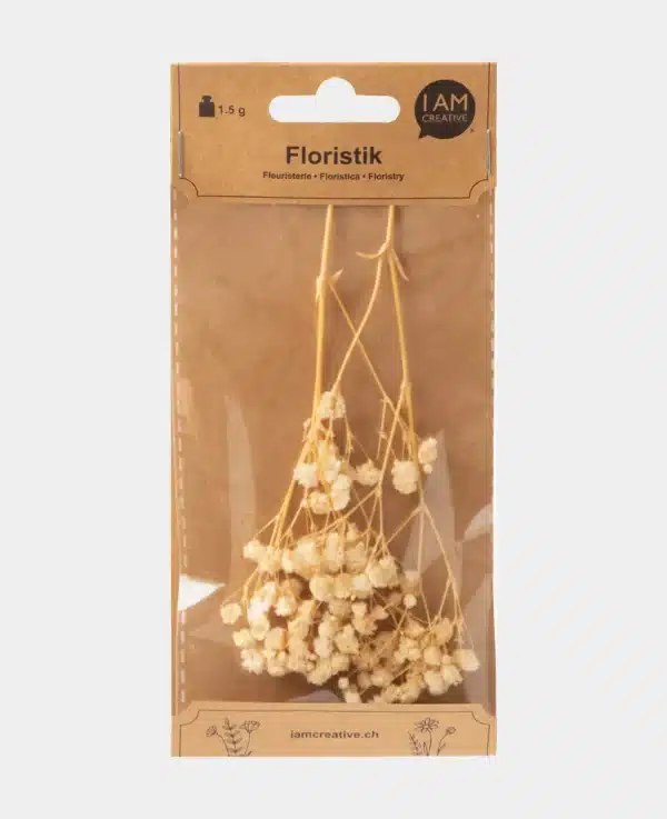 Gypsophila getrocknet