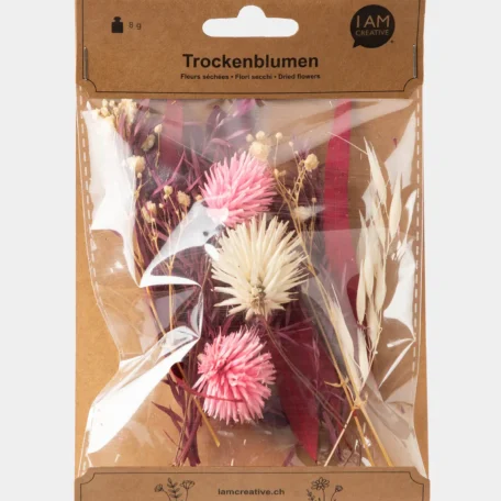 Trockenblumenset, Violett-Rosa