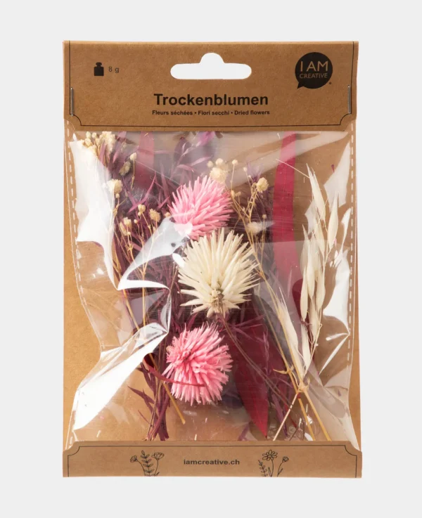 Trockenblumenset, Violett-Rosa