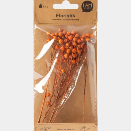 Lino Gras, Orange