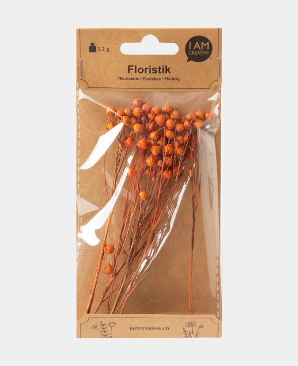 Lino Gras, Orange