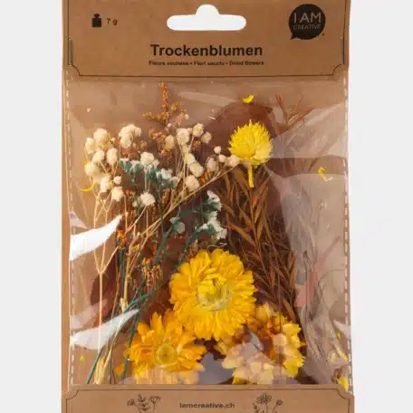 Trockenblumenset, Goldene Ernte