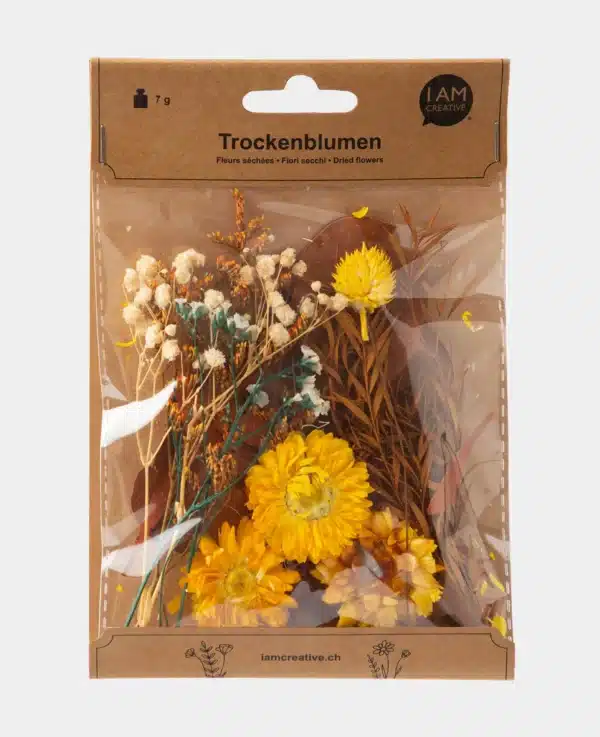Trockenblumenset, Goldene Ernte