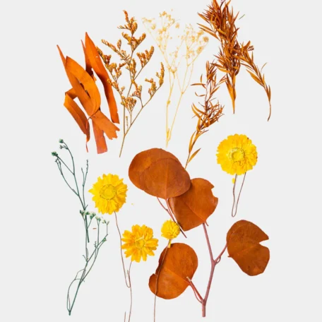 Trockenblumenset, Goldene Ernte