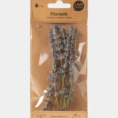 Lavendel getrocknet