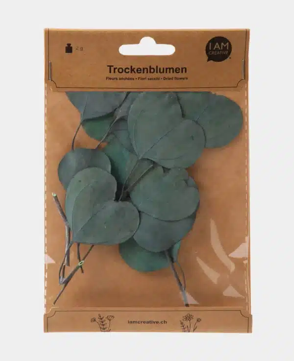 Eucalyptus séché, bleu foncé