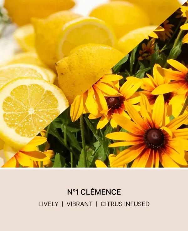 No 1 Clémence Diffuser, “Bloomy Citrus” – Image 4