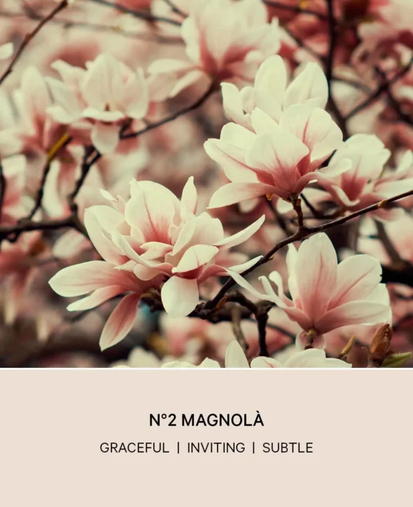 No 2 Magnola Diffuser, “Soft Blossoms” – Image 4