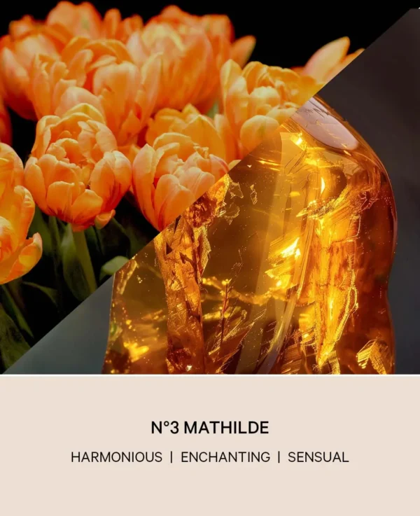 No 3 Mathilde Diffuser, “Floral Amber” – Image 4