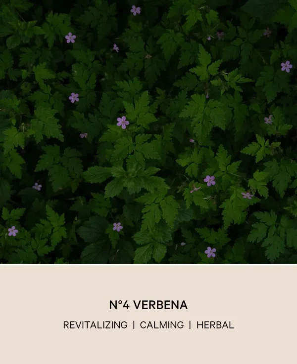 No 4 Verbena Diffuser, “Herbal Botanics” – Image 3
