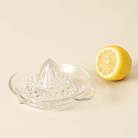 Zitruspresse Glas