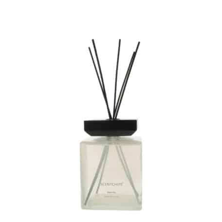 Reed Diffuser inkl Glas und Stäbchen XXL 1000ml Square Belle Vie