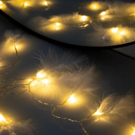 Lichterkette Feder