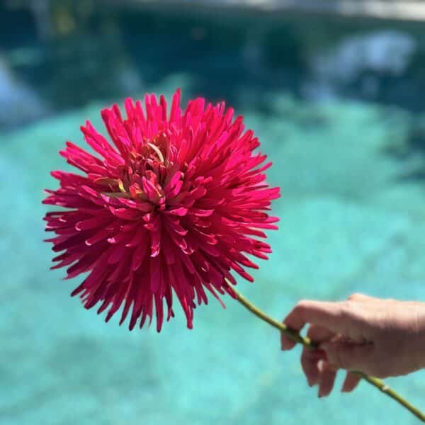 Künstliche Chrysantheme