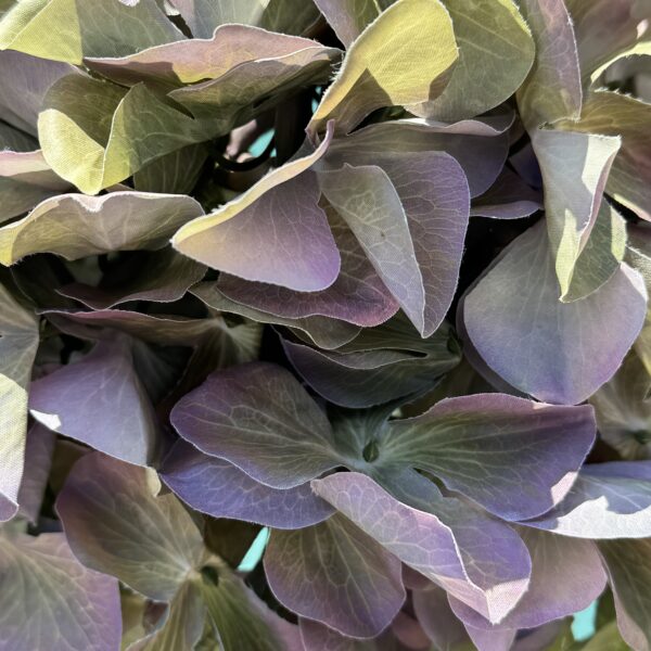 Künstliche XL-Hortensie Grün-Violett - Bild 3