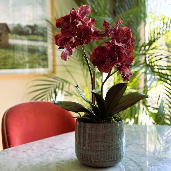 Künstliche Orchideen in Topf eingepflanzt weinrot