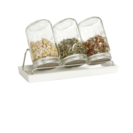 3er Set Sprossenglas 1000ml - Schale weiss